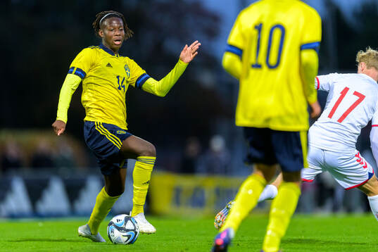 Alieu Njie of Sweden