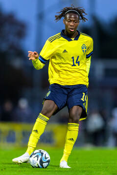 Alieu Njie of Sweden