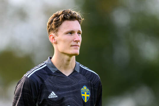 Goalkeeper Alexander Sandahl of Sweden
