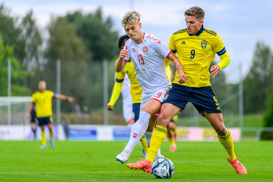Mads Nybo of Denmark and Leonardo De Oliveira of Sweden