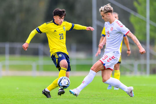Alexander Thongla-Iad Warneryd of Sweden and Mads Nybo of