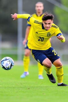 Alexander Thongla-Iad Warneryd of Sweden