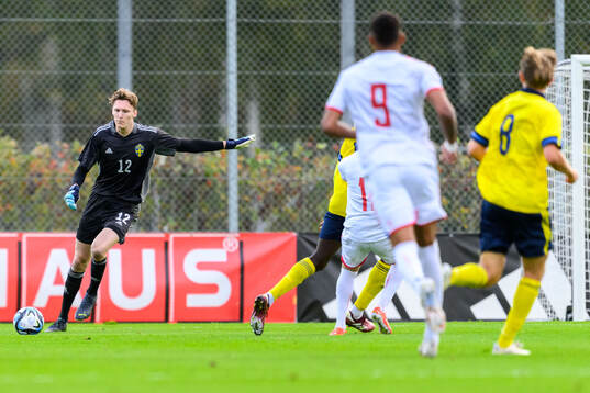 Goalkeeper Alexander Sandahl of Sweden