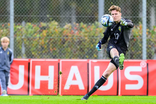 Goalkeeper Alexander Sandahl of Sweden