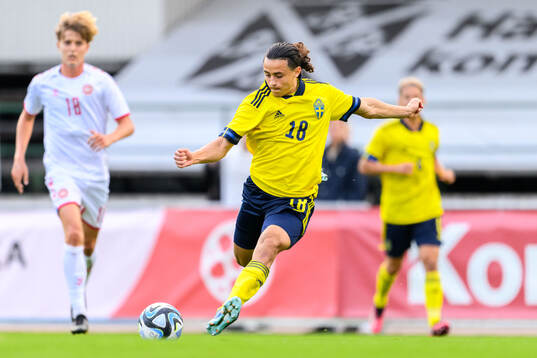 Amin Boudri of Sweden