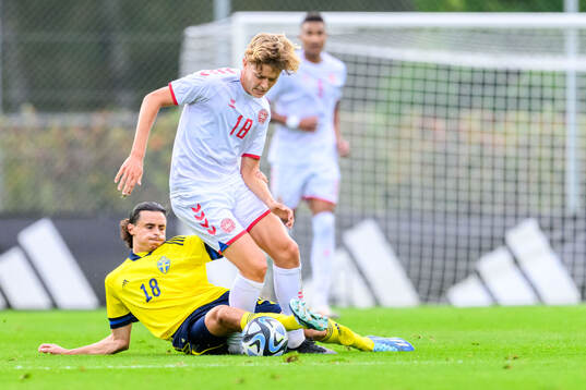 Amin Boudri of Sweden and Andreas Nibe of Denmark