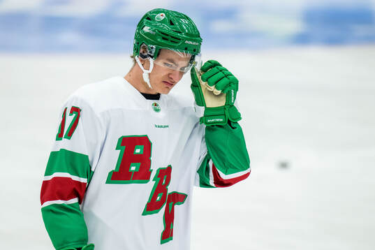 Rögles Max Karlsson