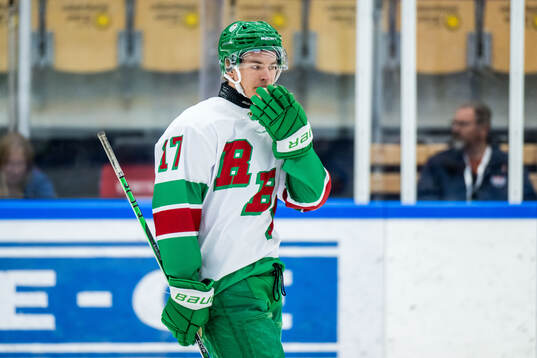 Rögles Max Karlsson