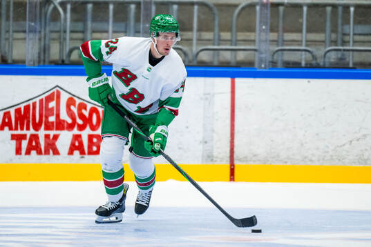 Rögles Mattias Göransson