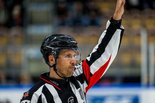 Domare Johan Magnusson