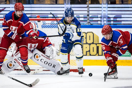 Timrås Maximiliam Eisenmenger, Leksands Lukas Vejdemo och