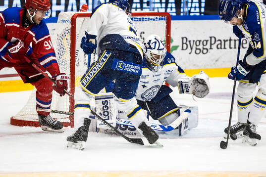 Leksands målvakt Mantas Armalis