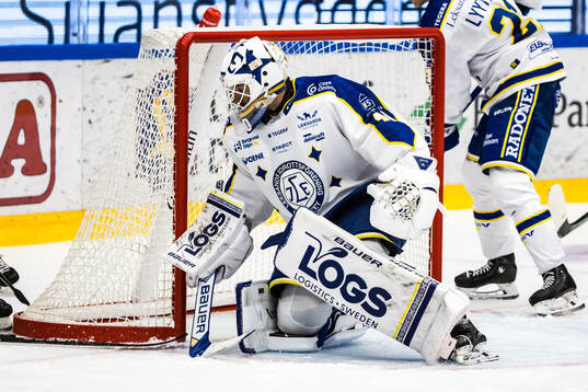 Leksands målvakt Mantas Armalis