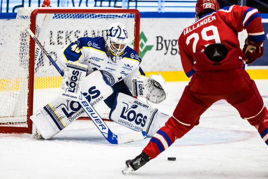 Leksands målvakt Mantas Armalis