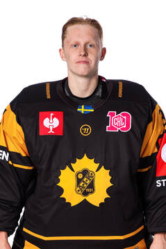 Bläddra bland fler bilder av Ishockey, CHL, Porträtt, Skellefteå