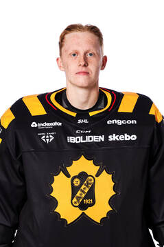 Skellefteås målvakt Alexander Hellnemo