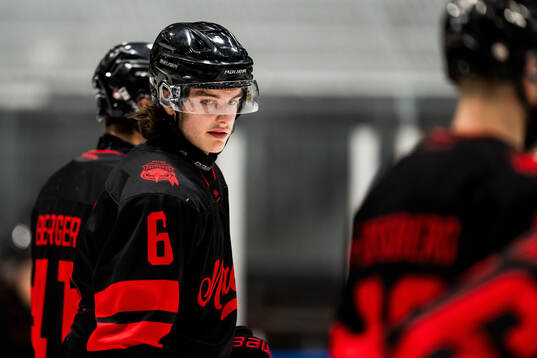 Malmö Redhawks Dominik Badinka