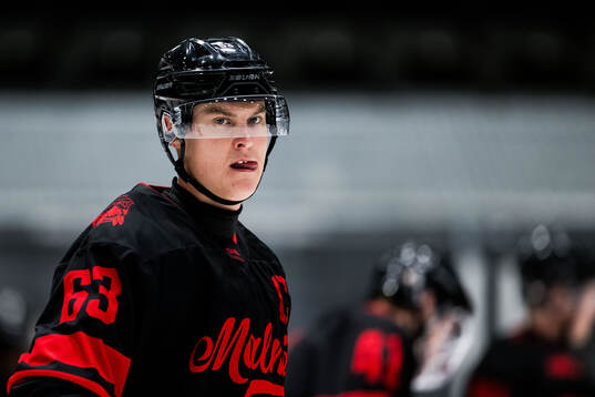 Malmö Redhawks Fredrik Händemark
