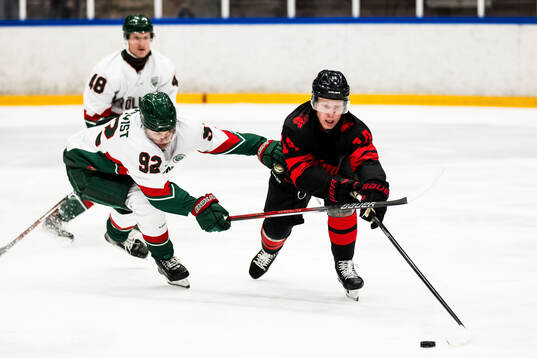 Frölundas Filip Cederqvist och Malmö Redhawks Otto