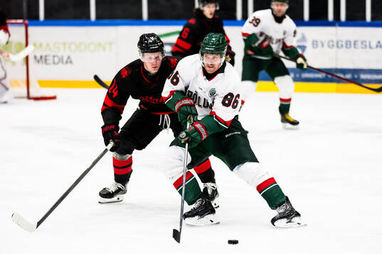 Malmö Redhawks Otto Stenberg och Frölundas Erik Thorell