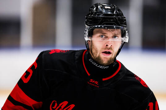 Malmö Redhawks Carl Persson