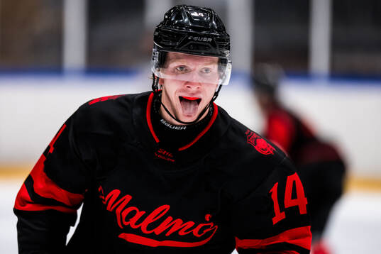 Malmö Redhawks Otto Stenberg