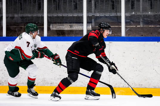 Frölundas Henrik Tömmernes och Malmö Redhawks Fredrik