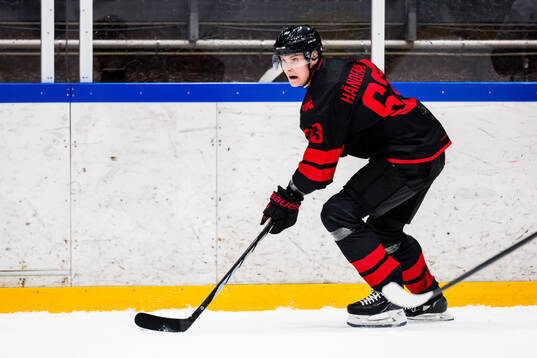 Malmö Redhawks Fredrik Händemark