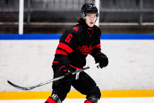 Malmö Redhawks Dominik Badinka