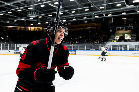 Malmö Redhawks William von Barnekow