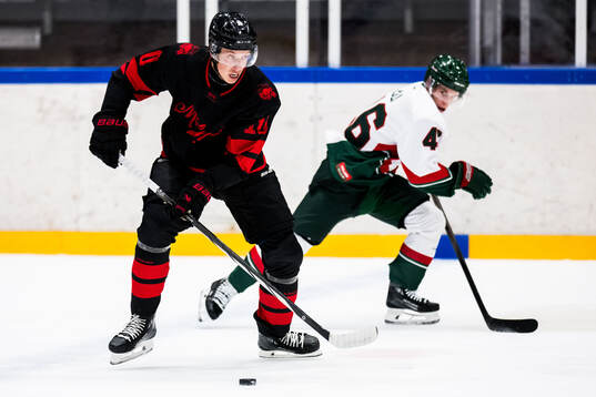 Malmö Redhawks William von Barnekow och Frölundas Dominik