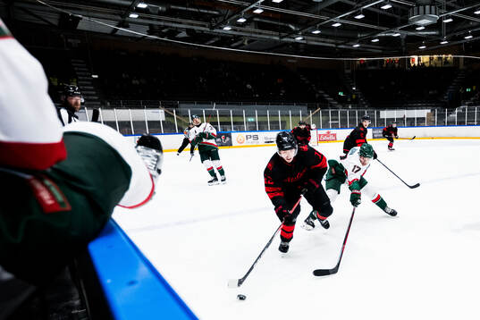 Malmö Redhawks Linus Öberg och Frölundas Isac Born