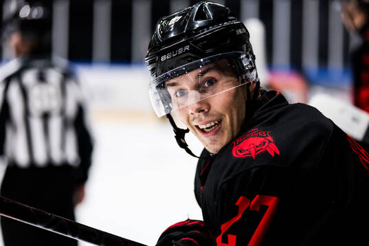Malmö Redhawks Henrik Haapala