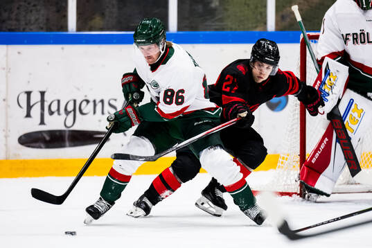 Frölundas Erik Thorell och Malmö Redhawks Henrik Haapala