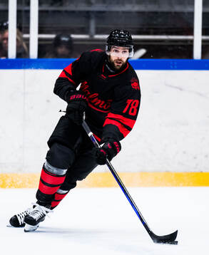 Malmö Redhawks Robin Hanzl
