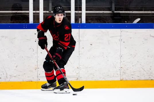 Malmö Redhawks Henrik Haapala