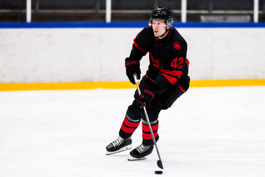 Malmö Redhawks Robin Salo