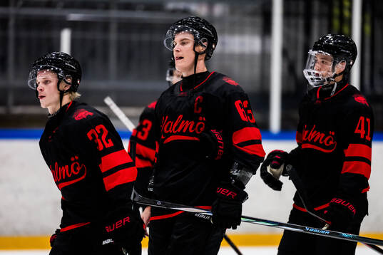 Malmö Redhawks Joona Ikonen, Fredrik Händemark och Joseph
