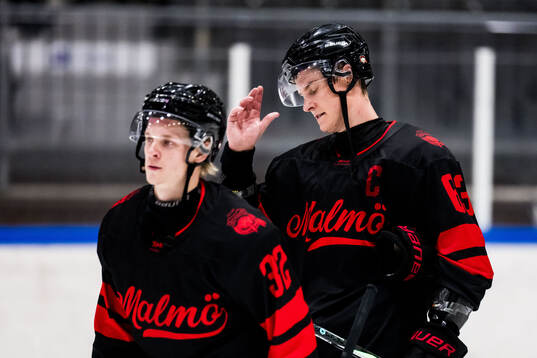 Malmö Redhawks Joona Ikonen och Fredrik Händemark deppar