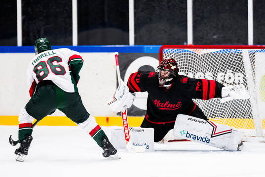 Frölundas Erik Thorell och Malmö Redhawks målvakt Daniel