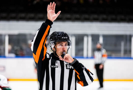 Domare Kristoffer Folkstrand