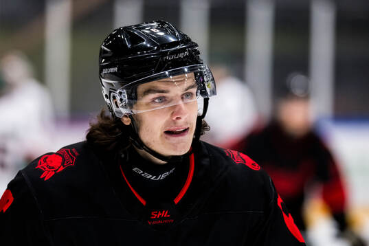 Malmö Redhawks Dominik Badinka