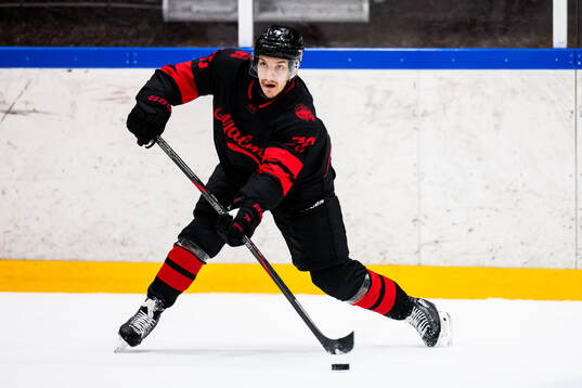 Malmö Redhawks Jakub Galvas
