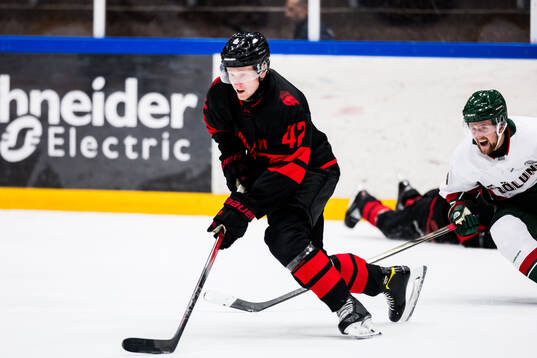 Malmö Redhawks Robin Salo