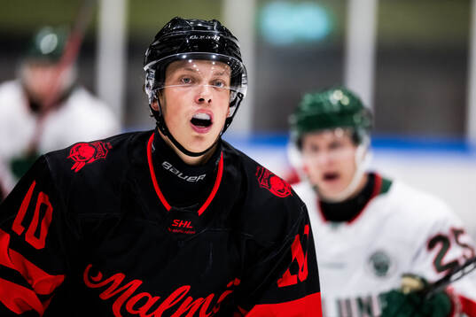 Malmö Redhawks William von Barnekow