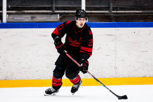 Malmö Redhawks Henrik Haapala