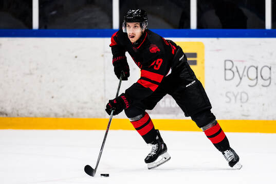 Malmö Redhawks Jakub Galvas