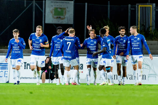 Trelleborgs Fredrik Martinsson jublar