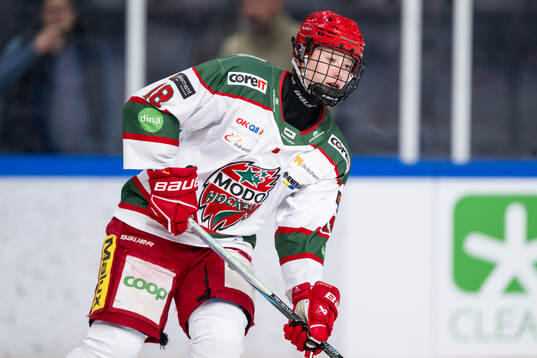 Modos Elsa Åberg
