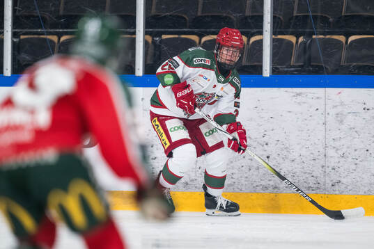 Modos Maja Gruyndström